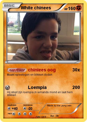 Pokemon White chinees