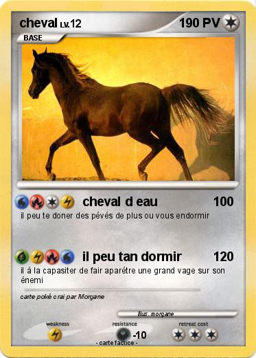 Pokemon cheval