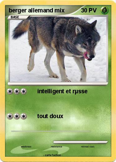 Pokemon berger allemand mix