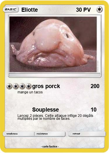 Pokemon Eliotte