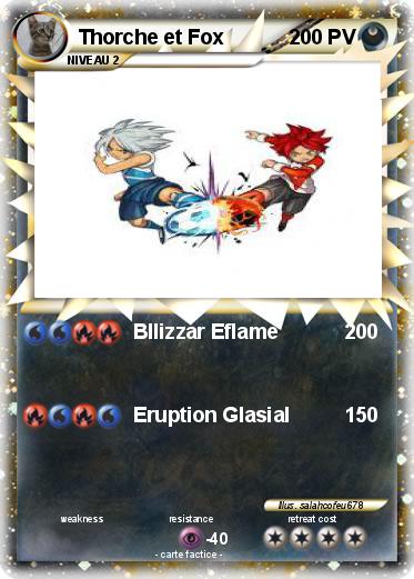 Pokemon Thorche et Fox