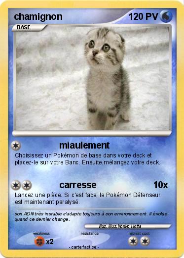 Pokemon chamignon
