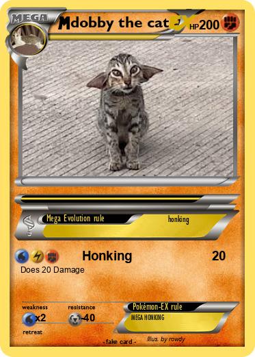 Pokemon dobby the cat