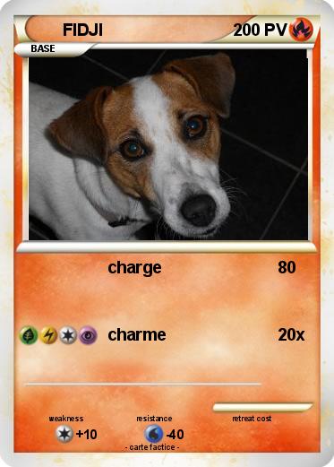 Pokemon FIDJI