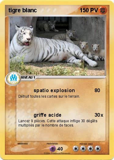 Pokemon tigre blanc         