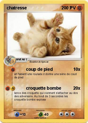 Pokemon chatresse