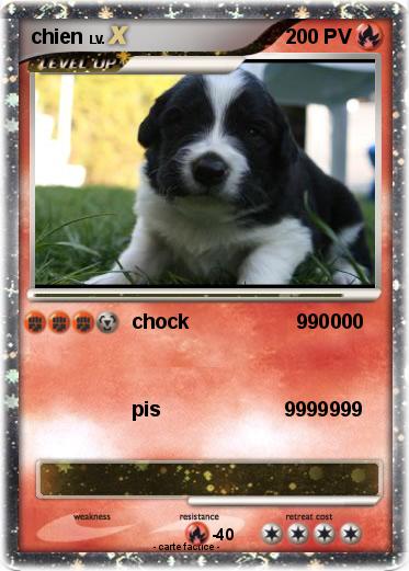 Pokemon chien