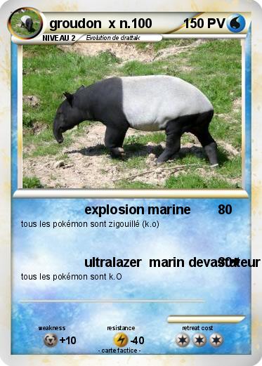 Pokemon groudon  x n.100