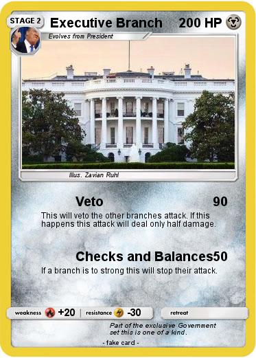 Pokemon Executive Branch