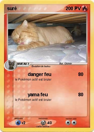 Pokemon suré