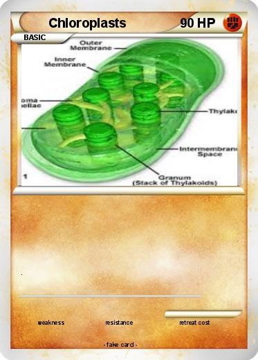 Pokemon Chloroplasts