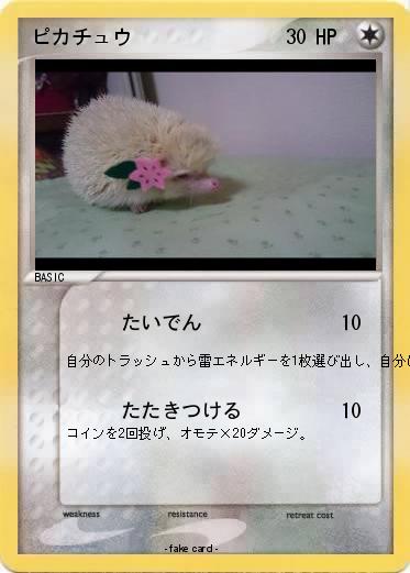 Pokemon ピカチュウ