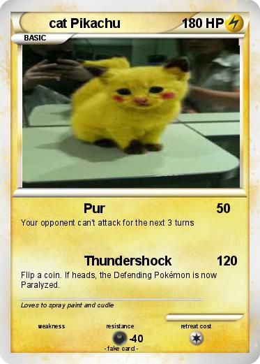Pokemon cat Pikachu