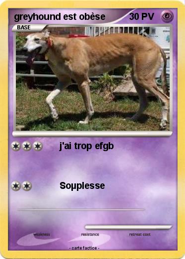 Pokemon greyhound est obèse