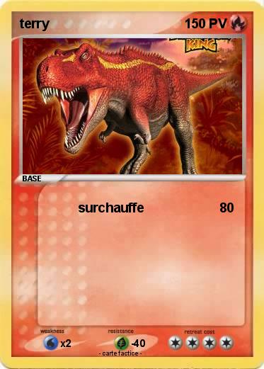 Pokemon terry