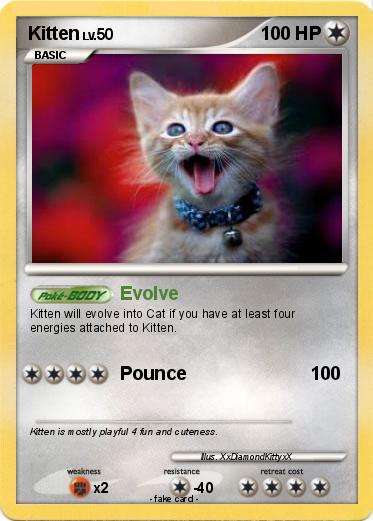 Pokemon Kitten