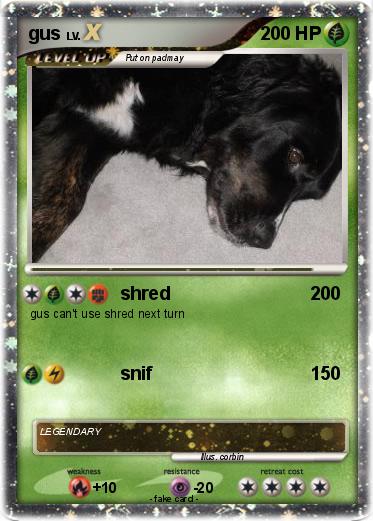 Pokemon gus