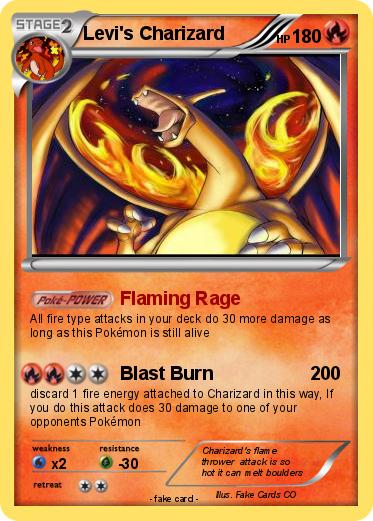 Pokemon Levi's Charizard