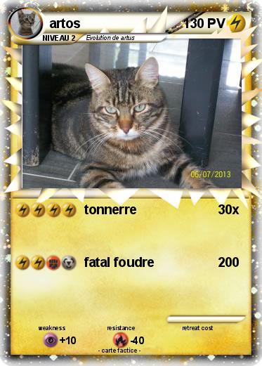 Pokemon artos