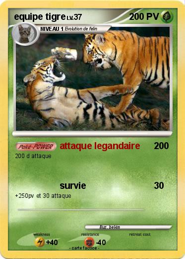 Pokemon equipe tigre