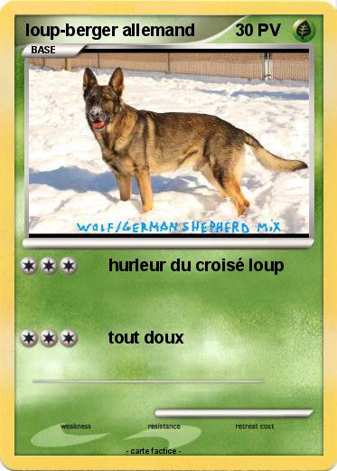 Pokemon loup-berger allemand