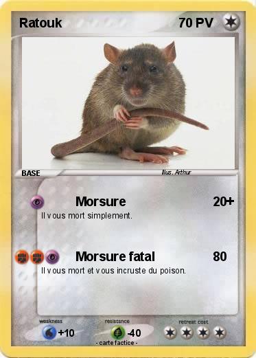 Pokemon Ratouk