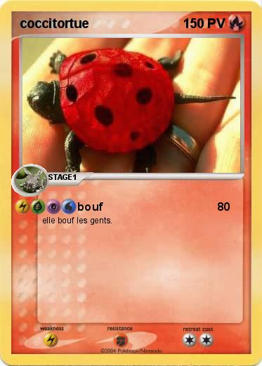 Pokemon coccitortue