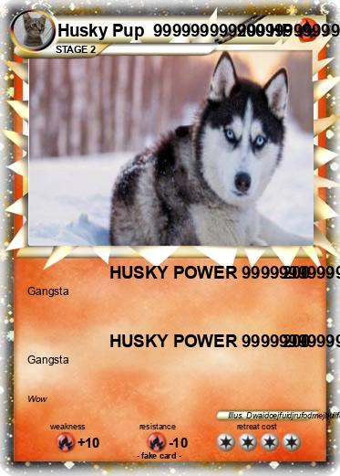 Pokemon Husky Pup  9999999999999999999999