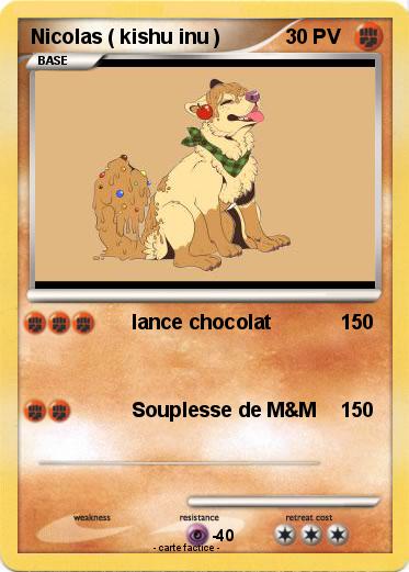 Pokemon Nicolas ( kishu inu )