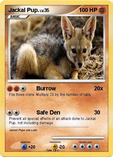 Pokemon Jackal Pup.