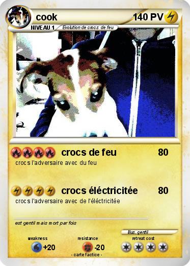 Pokemon cook