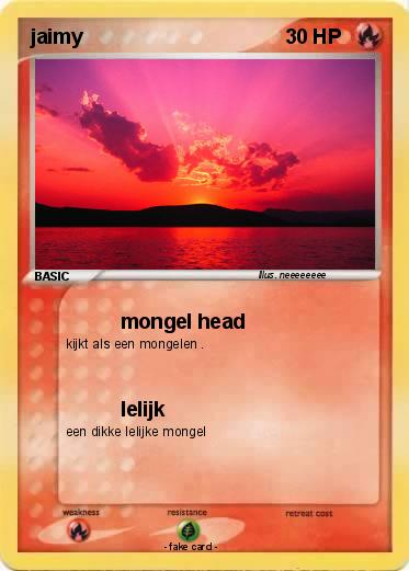 Pokemon jaimy
