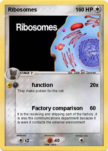 Pokemon Ribosomes