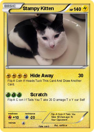 Pokemon Stampy Kitten