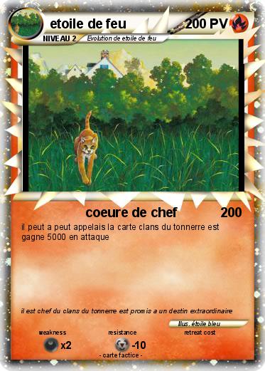 Pokemon etoile de feu