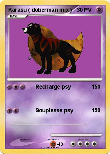 Pokemon Karasu ( doberman mix )