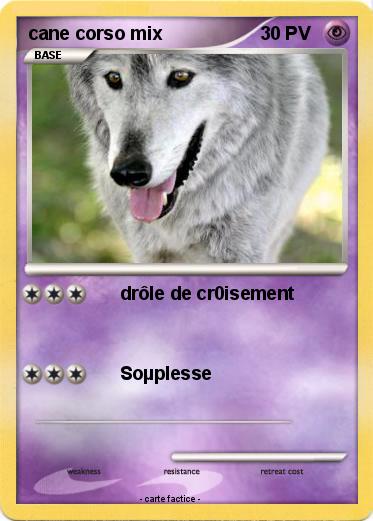 Pokemon cane corso mix