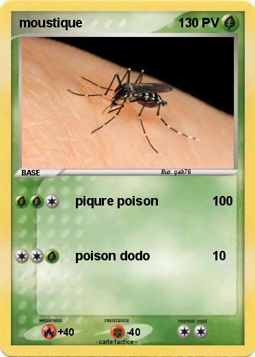 Pokemon moustique