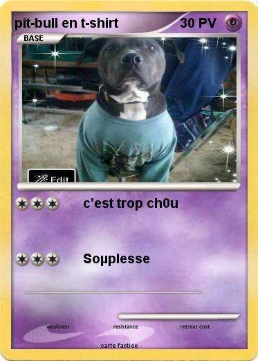 Pokemon pit-bull en t-shirt