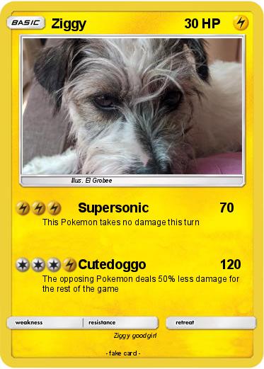 Pokemon Ziggy