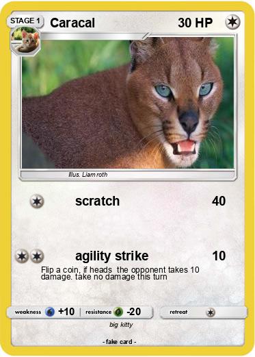 Pokemon Caracal