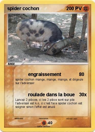Pokemon spider cochon