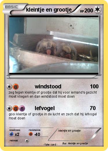 Pokemon kleintje en grootje
