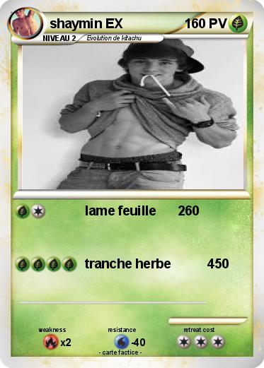 Pokemon shaymin EX