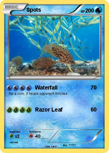 Pokemon Spots