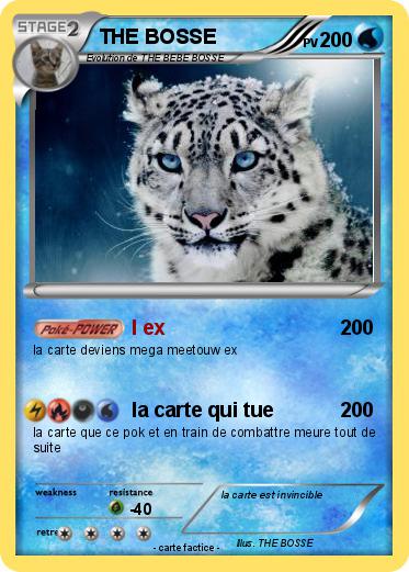 Pokemon THE BOSSE