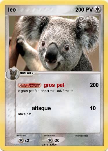 Pokemon leo
