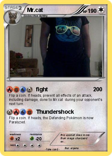 Pokemon Mr.cat