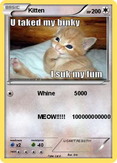 Pokemon Kitten