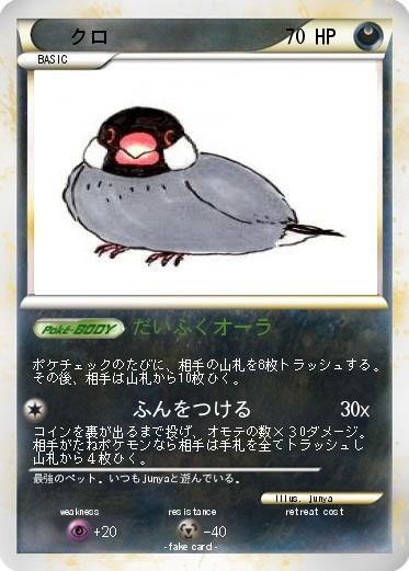 Pokemon クロ